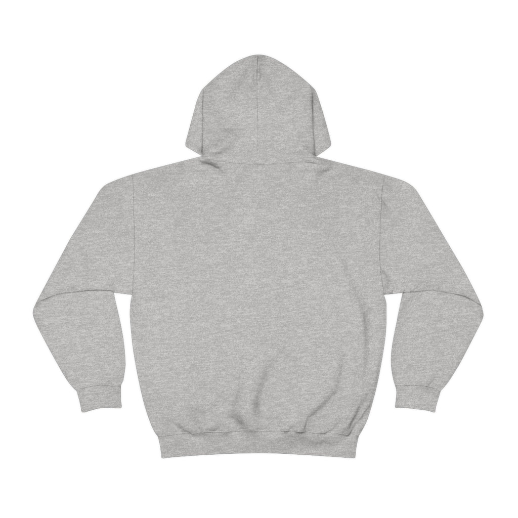 Copy of Heavy Blend™ Hooded Sweatshirt