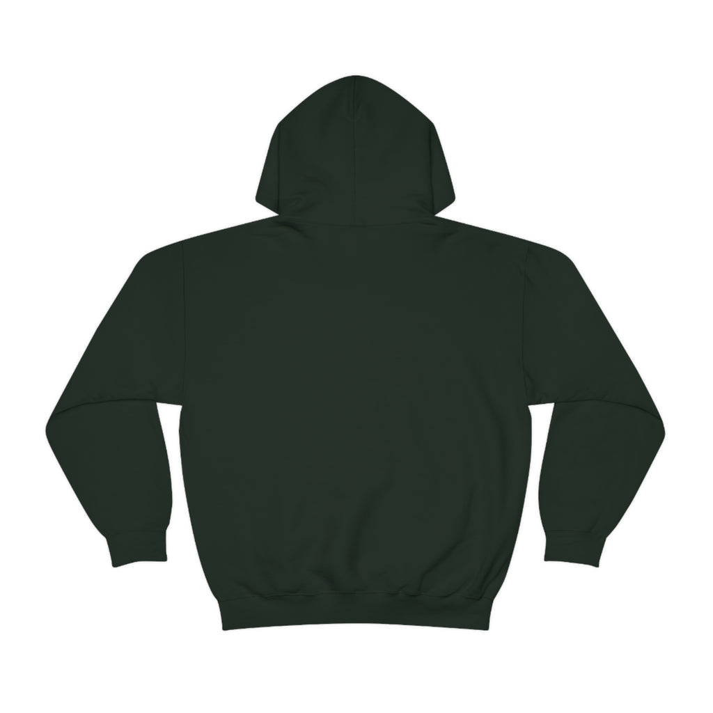 Copy of Heavy Blend™ Hooded Sweatshirt